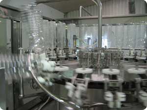 The Production Cycle